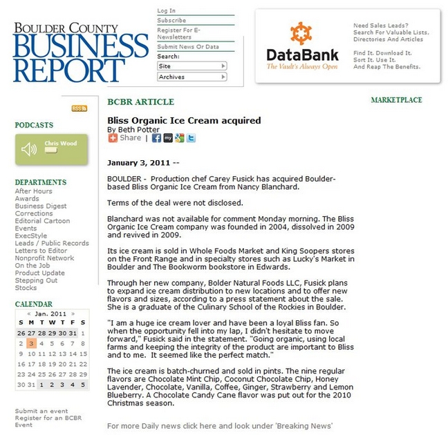 example of a business report